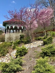 Obraz premium Gazebo behind vibrant pink flowering trees on hillside in Eden Park
