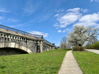 Historic stone bridge beside blooming tree under blue spring sky