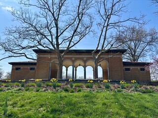 Mount Echo Park pavilion behind daffodils and trees on spring day
