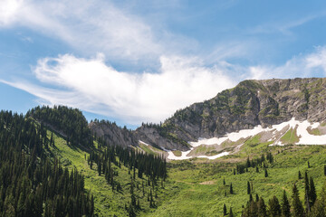 Fototapeta premium Snowmelt on Lizard Range Mountains of Fernie, British Columbia