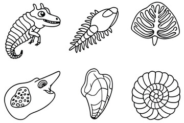  fossil line art design showcasing prehistoric animals