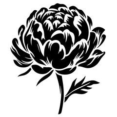 Black and White Stylized Peony Flower Illustration Botanical Graphic Design Element © PixelArtBox