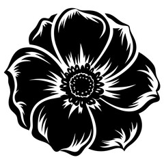 A Black and White Illustration of a Single Anemone Flower with Intricate Petals