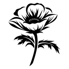 Elegant Black and White Anemone Flower Illustration Botanical Design Graphic Art