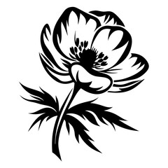 A Stunning Black and White Illustration of a Single Anemone Flower with Detailed Petals and Leaves