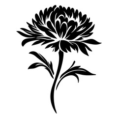Black and White Floral Illustration of a Single Elegant Aster Flower with Stem and Leaves