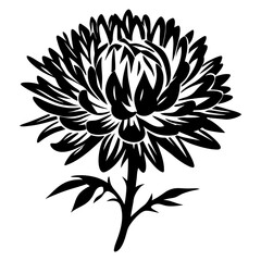 Black and White Illustration of a Single Aster Flower with Stem and Leaves