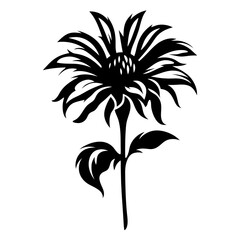 Black and White Floral Illustration of a Single Sunflower with Intricate Petals and Leaves