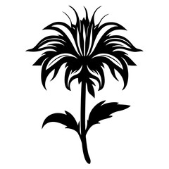 Elegant Black and White Stylized Flower Illustration Botanical Design Graphic Art Floral Image