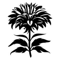 A Black and White Stylized Flower Illustration with Heart Shaped Center and Detailed Petals and Leaves