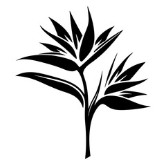 Elegant Black and White Bird of Paradise Flower Illustration Botanical Art Graphic Design
