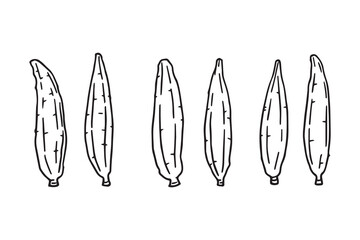 Okra line art