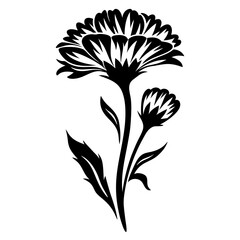 Elegant Black and White Floral Design Featuring a Single Stemmed Flower with Two Blooms