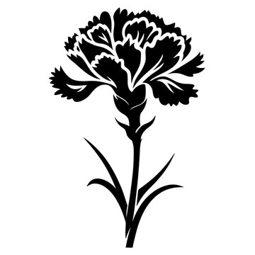 recommend clip art: Elegant Black and White Carnation Flower Illustration Botanical Design Floral Art Graphic