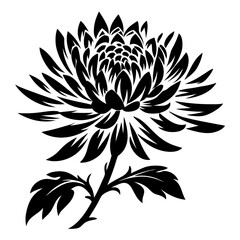 Black and White Stylized Chrysanthemum Flower Illustration Botanical Design
