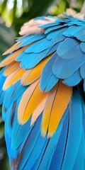 Fototapeta premium Close-Up of a Blue and Yellow Macaw with Feathers Detailed