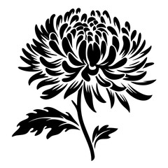 Black and White Stylized Chrysanthemum Flower with Leaves Botanical Illustration