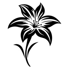 Elegant Black and White Lily Flower Design Illustration Graphic
