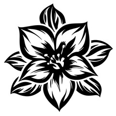 Bold Black and White Floral Illustration of a Striking Flower with Sharp Petals and Intricate Details