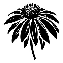 Black and White Illustration of a Single Echinacea Flower with Detailed Petals and Stem