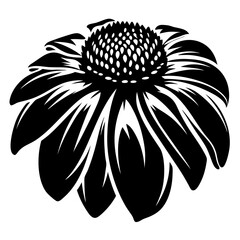 Black and white illustration of a stylized daisy flower with prominent petals and a detailed central disc