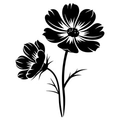Elegant Black Silhouette of Two Cosmos Flowers on White Background Botanical Illustration