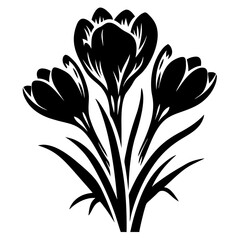 Elegant Black and White Crocus Flower Illustration Three Blooms Spring Botanical Art Graphic Design