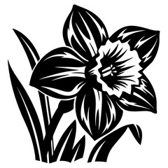 Bold Black and White Illustration of a Single Daffodil Flower with its Stem and Leaves