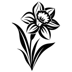 Black and White Stylized Daffodil Flower Illustration Botanical Spring Bloom Graphic Design Element