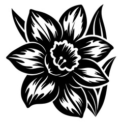 A Striking Black and White Illustration of a Daffodil Flower
