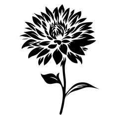 Black and White Dahlia Flower Silhouette Botanical Illustration Floral Design Element