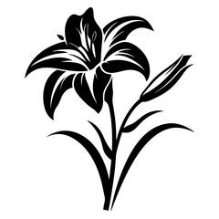 Elegant Black and White Lily Flower Illustration with Stem and Leaves