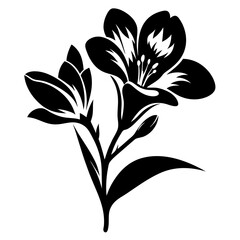 Elegant Black and White Floral Silhouette Two Flowers and Leaves Botanical Illustration