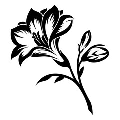 Elegant Black and White Freesia Flower Design with Buds