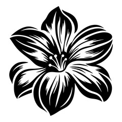 A Black and White Illustration of a Strikingly Beautiful Flower with Intricate Petals