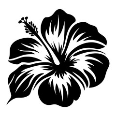 A Striking Black and White Illustration of a Hibiscus Flower