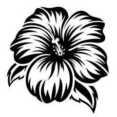 A Stunning Black and White Hibiscus Flower Illustration Graphic Design