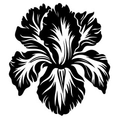 Intricate Black and White Stylized Iris Flower Graphic Botanical Illustration
