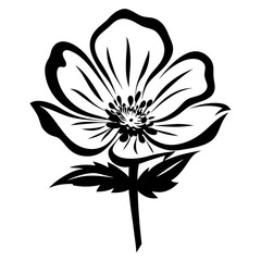 Elegant Black and White Floral Illustration Botanical Flower Design Simple Line Art Graphic