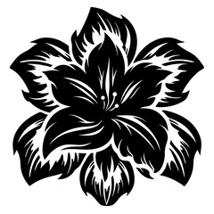 A Striking Black and White Illustration of a Lily Flower with Intricate Petals
