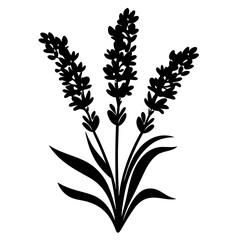 Elegant Black Silhouette of Three Lavender Sprigs Botanical Illustration