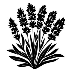 Black and White Silhouette of a Bunch of Lavender Flowers with Lush Green Leaves
