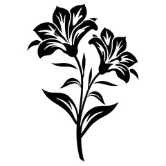 Elegant Black and White Lily Flower Illustration Two Blooms Floral Design Botanical Art