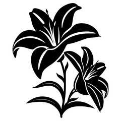 Elegant Black and White Lily Flower Illustration Two Lilies Blooming Botanical Design Graphic Art