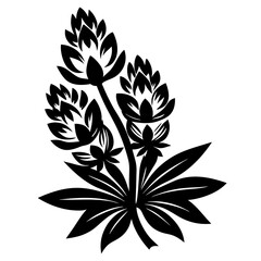 Elegant Black and White Stylized Lupine Flower Illustration Botanical Design