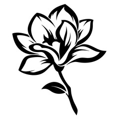 Elegant Black and White Magnolia Flower Illustration Graphic Design Element
