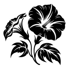 Elegant Black and White Stylized Morning Glory Flower Illustration