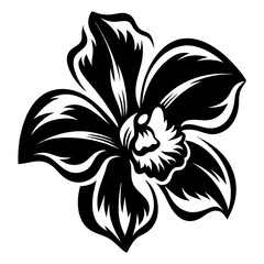 Bold Black and White Orchid Flower Illustration Artistic Floral Design Botanical Artwork