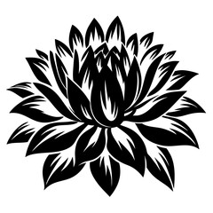 A Stunning Black and White Illustration of a Blooming Lotus Flower