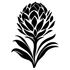 Black and White Stylized Floral Illustration of a Protea Flower with Bold Leaves and Petals